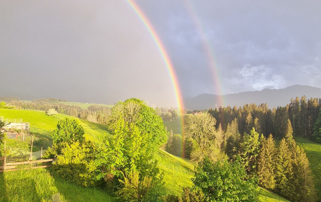 Alpenpanorama am Ferienhof Weitblick