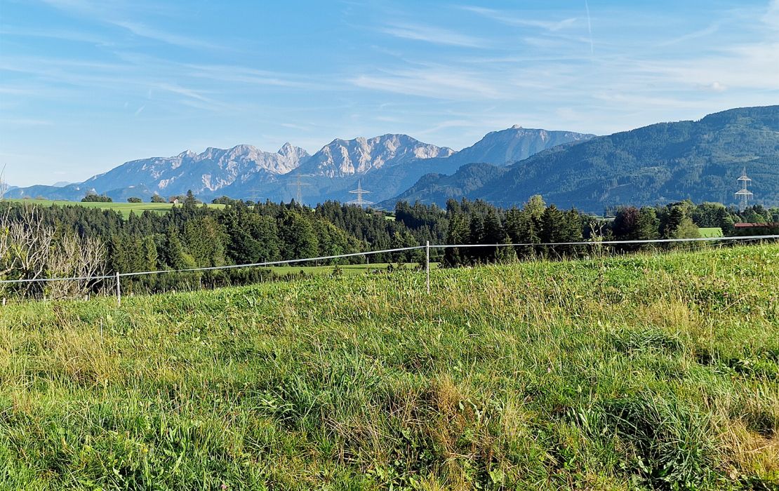 Aussicht vom Ferienhof Weitblick in Oy-Mittelberg