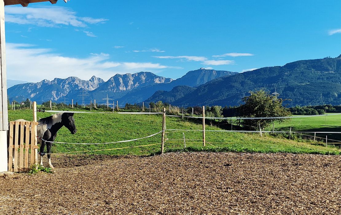 Pferdekoppel mit Panorama